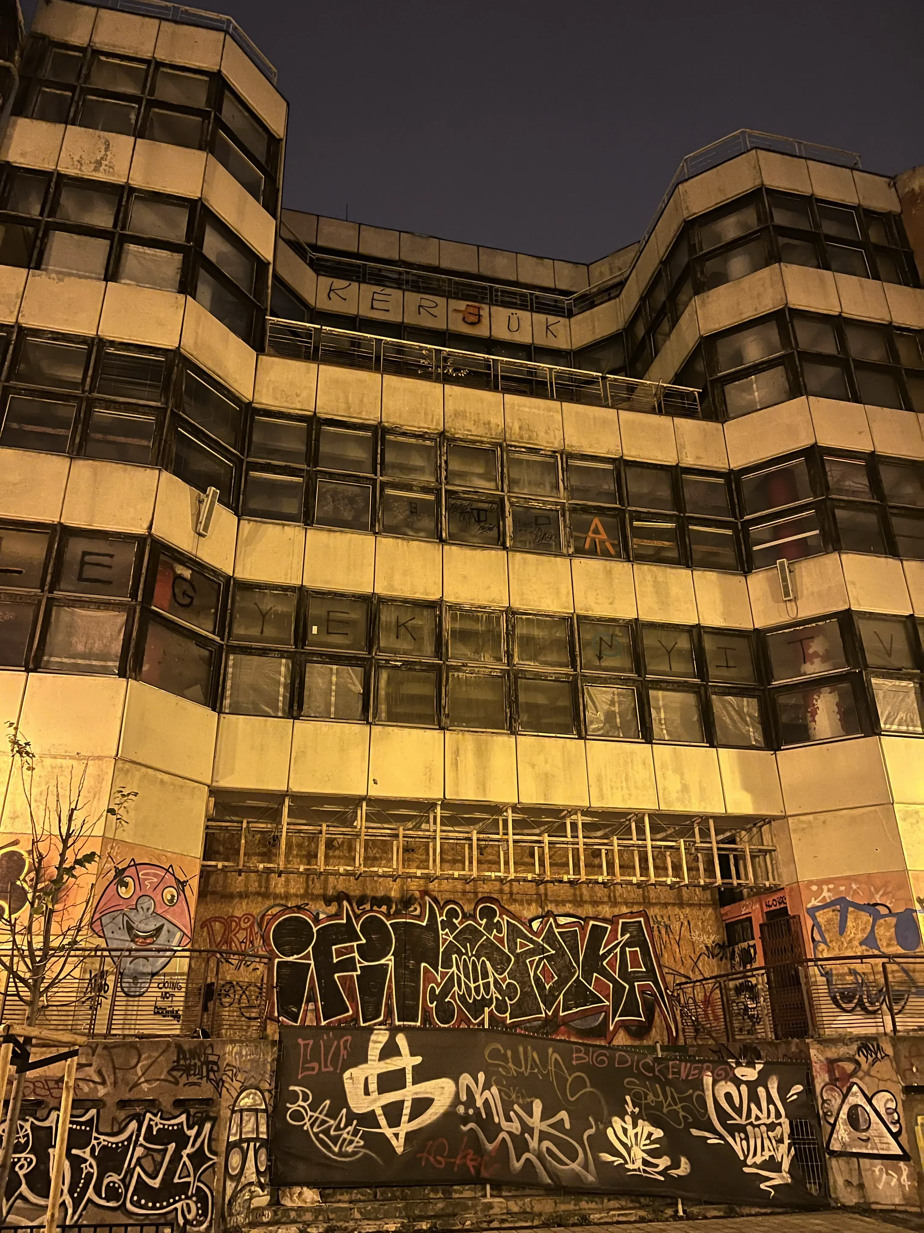 Old Youth Center in Budapest